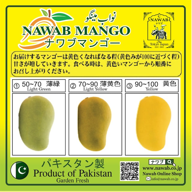 Nawab Mango 3kg (6-8 Pieces)  / ナワブマンゴー 3kg (6-8個入)※冷蔵発送/他の商品と同時購入不可