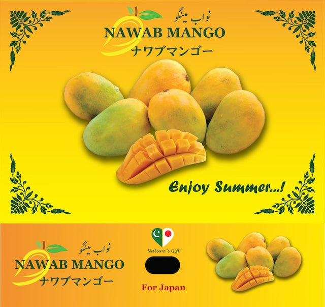 Nawab Mango 3kg (6-8 Pieces)  / ナワブマンゴー 3kg (6-8個入)※冷蔵発送/他の商品と同時購入不可