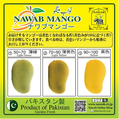 Nawab Mango 5kg (14-16 Pieces)  / ナワブマンゴー 5kg (14-16個入)※冷蔵発送/他の商品と同時購入不可